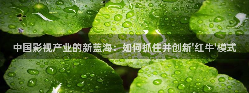 蜜桃影音视频在线观看：中国影视产业的新蓝海：如何抓住并创新\'红牛\'模式