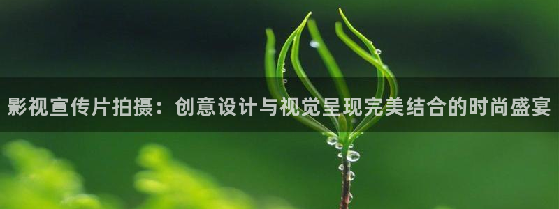 蜜桃网视频观看：影视宣传片拍摄：创意设计与视觉呈现完美结合的时尚盛宴
