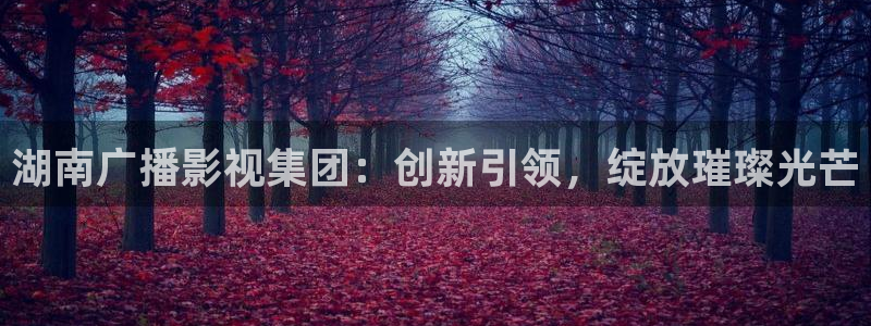 蜜桃av影视免费观看的网站：湖南广播影视集团：创新引领，绽放璀璨光芒