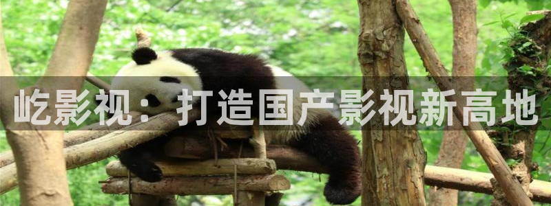 美丽小蜜桃电影bd：屹影视：打造国产影视新高地