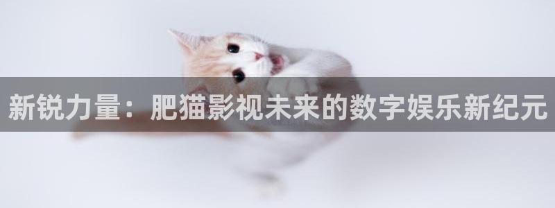 蜜桃电影欧美：新锐力量：肥猫影视未来的数字娱乐新纪元