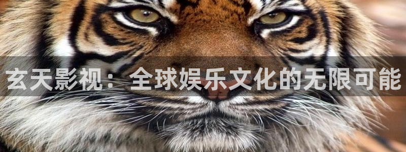 在线影院蜜桃：玄天影视：全球娱乐文化的无限可能