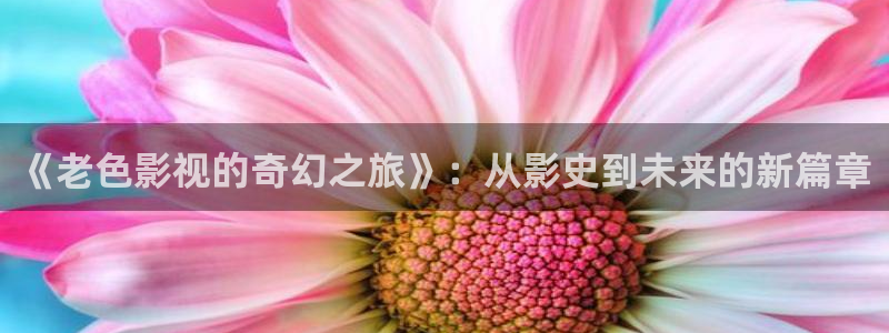 91蜜桃影视
